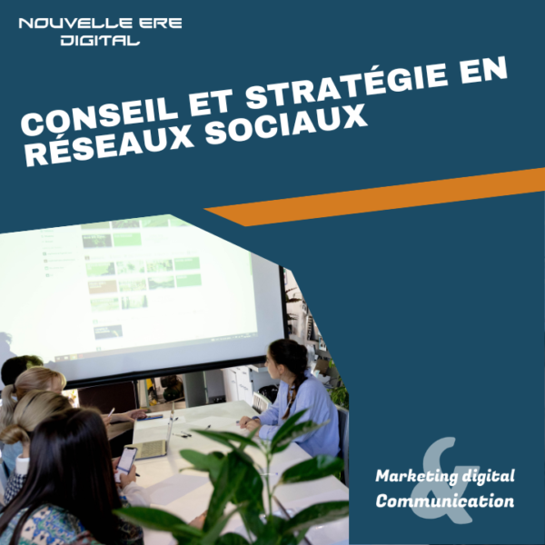 Conseil et stratégie en réseaux sociaux